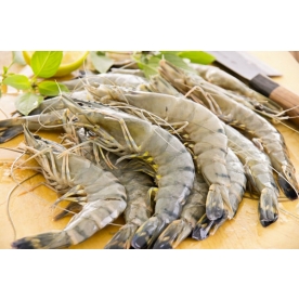 Gamberi Black Tiger per tempura: come si cucinano e le caratteristiche
